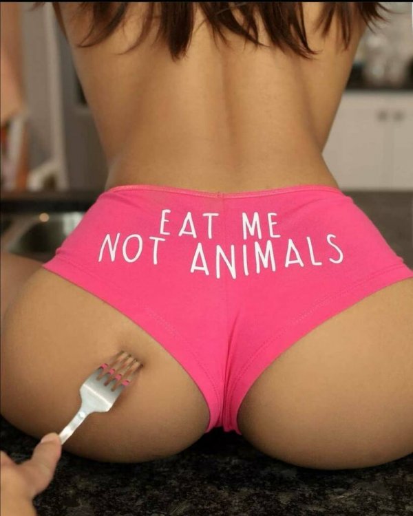 DON'T EAT ANIMALS.jpg