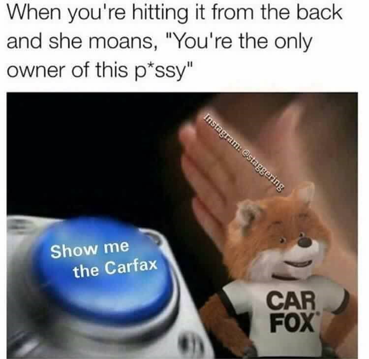 goods-hitting-back-and-she-moans-only-owner-this-pssy-instagram-staggering-show-carfax-car-fox.jpg