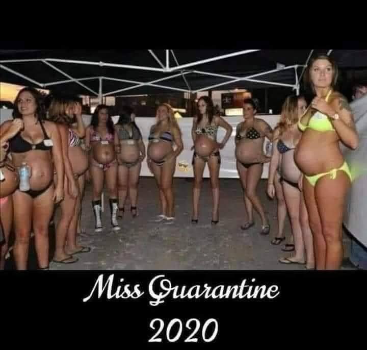 Miss Quarantine 2020.jpg
