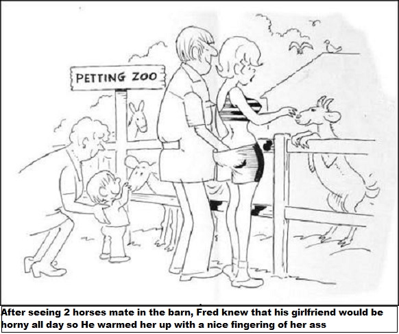 Petting Zoo.jpg