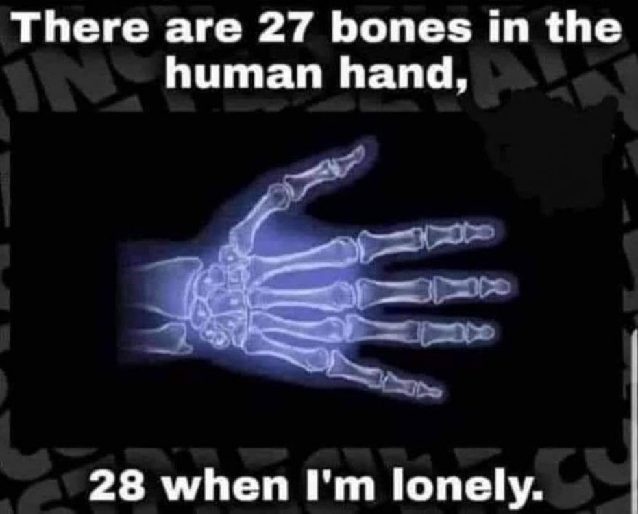 Hand Bones.jpg