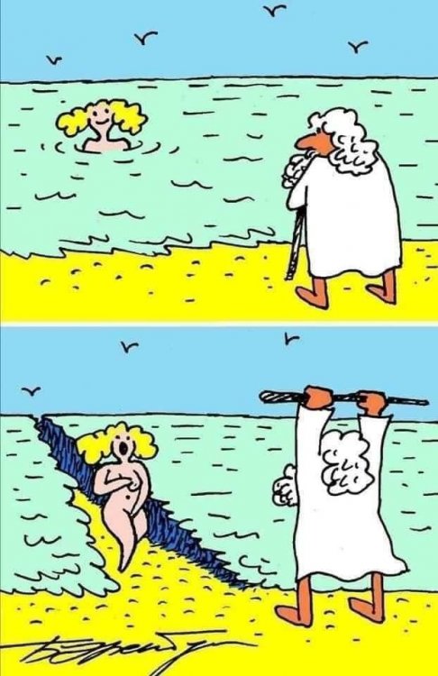 Damn You, Moses.jpg