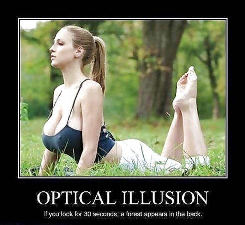 Optical Illusion.jpg