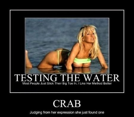 Crab.jpg