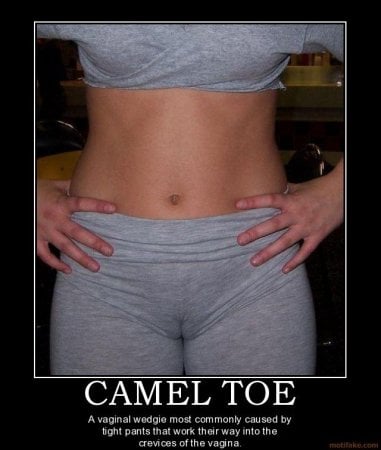 camel-toe-porn-338539.jpg