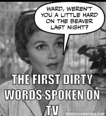 First Dirty Words.jpg