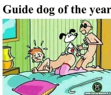 Dog of the Year.jpg