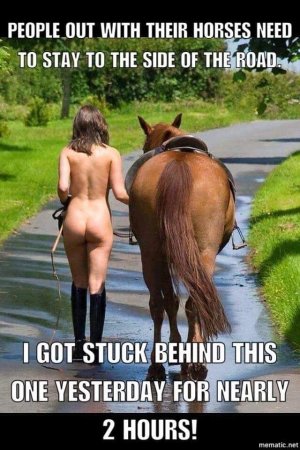 Stuck Behind a Horse.JPG