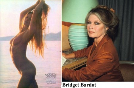 Bridget Bardot 01 .jpg