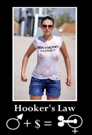 Hooker's Law.jpg