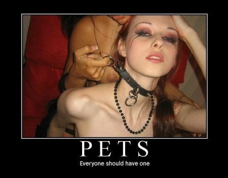 Pets.jpg
