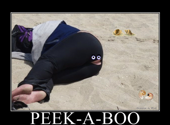 Beach_Peek_A_Boo_ani1.gif
