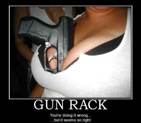 Gun Rack.jpg