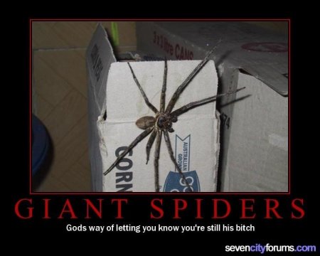 De-Motivate - Giant spiders.jpg