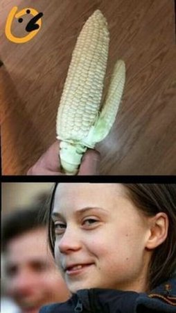 She's a Child of the Corn.jpg