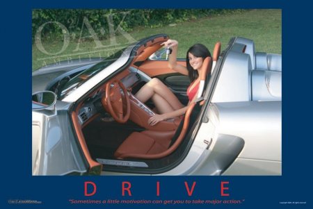 drive-cgt-lg.jpg