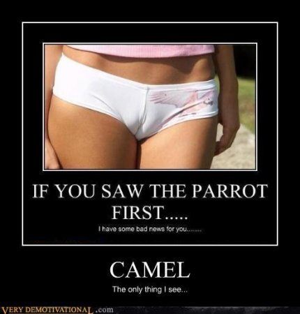 demotivational-posters-camel.jpg