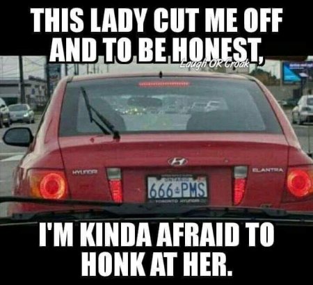 Afraid to Honk.jpg