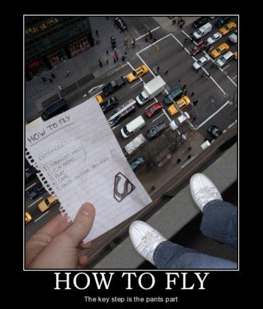 odd-pos How to Fly+.jpg