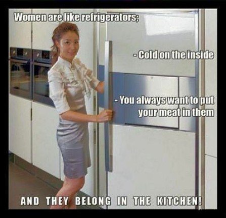 Women are Like Refrigerators.jpg