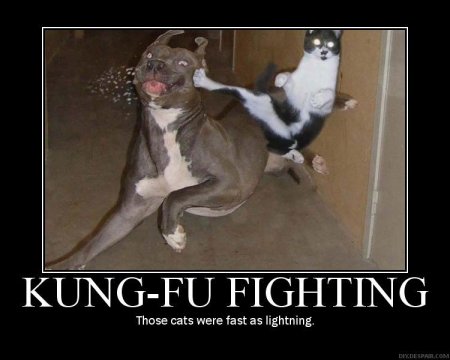 De-Motivate - Kung-Fu Fighting.jpg