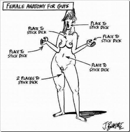 Anatomy for Guys.jpg