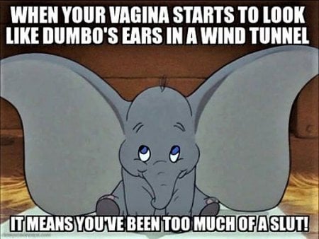 Dumbo's Ears.jpg