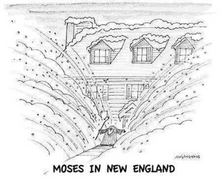 We Need Moses in New England.jpg