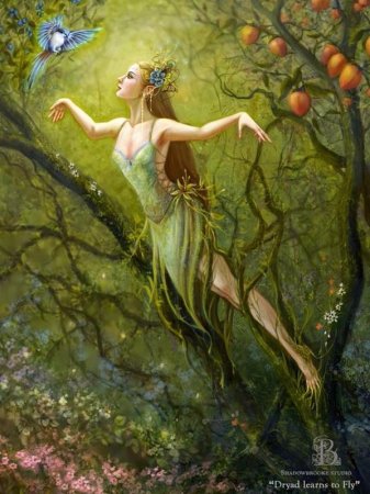 dryad_learns_to_fly-by_Brooke_Gillette.jpg