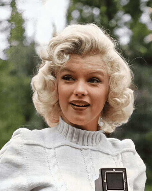 833465253.gif