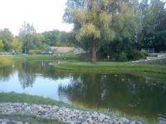 DSC04689.JPG